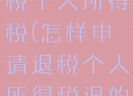 怎样申请退税个人所得税(怎样申请退税个人所得税退的多)