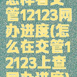 怎样看交管12123网办进度(怎么在交管12123上查网办进度)