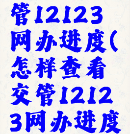 怎样看交管12123网办进度(怎样查看交管12123网办进度)