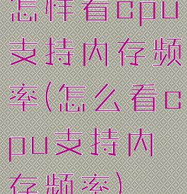 怎样看cpu支持内存频率(怎么看cpu支持内存频率)
