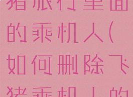 怎样删除飞猪旅行里面的乘机人(如何删除飞猪乘机人的信息)