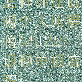 怎样办理退税个人所得税(2022年退税申报流程)