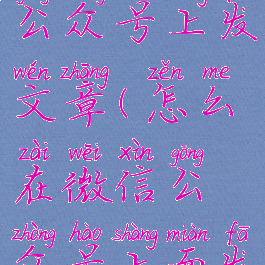 怎样在微信公众号上发文章(怎么在微信公众号上面发文章)