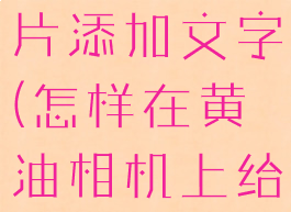 怎样在黄油相机上给照片添加文字(怎样在黄油相机上给照片添加文字和图片)