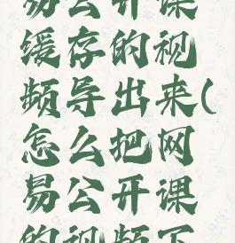 怎样把网易公开课缓存的视频导出来(怎么把网易公开课的视频下载到手机)