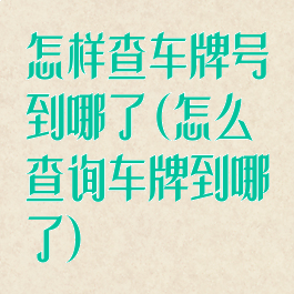 怎样查车牌号到哪了(怎么查询车牌到哪了)