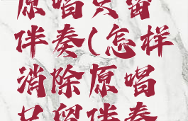 怎样消除原唱只留伴奏(怎样消除原唱只留伴奏手机)