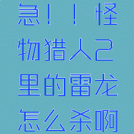 急！！怪物猎人2里的雷龙怎么杀啊