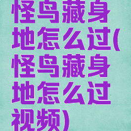 怪鸟藏身地怎么过(怪鸟藏身地怎么过视频)