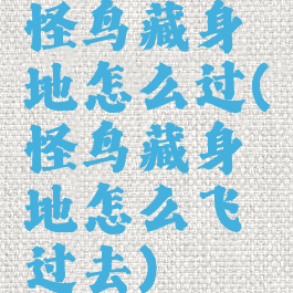 怪鸟藏身地怎么过(怪鸟藏身地怎么飞过去)