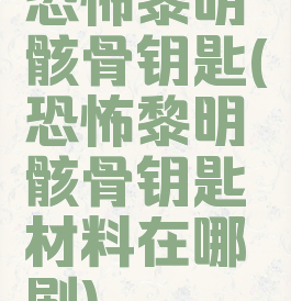 恐怖黎明骸骨钥匙(恐怖黎明骸骨钥匙材料在哪刷)