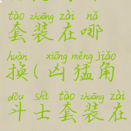 惊恶角斗士套装在哪换(凶猛角斗士套装在哪换)