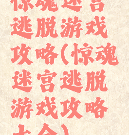 惊魂迷宫逃脱游戏攻略(惊魂迷宫逃脱游戏攻略大全)