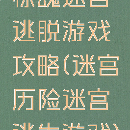 惊魂迷宫逃脱游戏攻略(迷宫历险迷宫逃生游戏)
