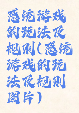 感统游戏的玩法及规则(感统游戏的玩法及规则图片)