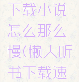 懒人听书下载小说怎么那么慢(懒人听书下载速度太慢)