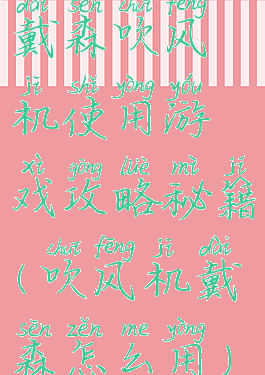 戴森吹风机使用游戏攻略秘籍(吹风机戴森怎么用)