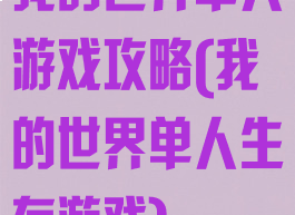 我的世界单人游戏攻略(我的世界单人生存游戏)