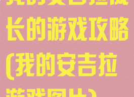 我的安吉拉成长的游戏攻略(我的安吉拉游戏图片)