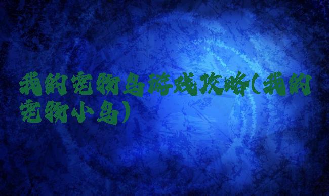我的宠物鸟游戏攻略(我的宠物小鸟)