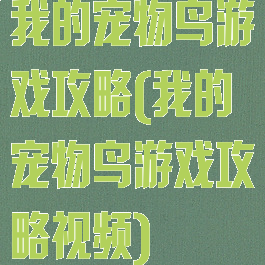 我的宠物鸟游戏攻略(我的宠物鸟游戏攻略视频)