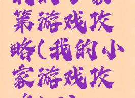 我的小家第游戏攻略(我的小家游戏攻略54)