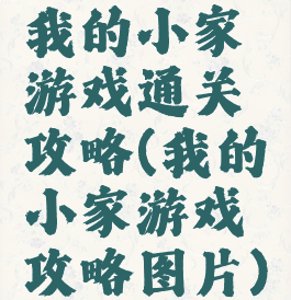 我的小家游戏通关攻略(我的小家游戏攻略图片)