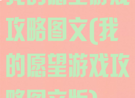 我的愿望游戏攻略图文(我的愿望游戏攻略图文版)