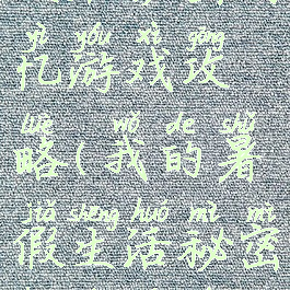 我的暑假生活秘密回忆游戏攻略(我的暑假生活秘密回忆游戏攻略视频)