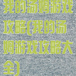 我的汤姆游戏攻略(我的汤姆游戏攻略大全)