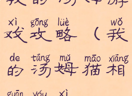 我的汤姆游戏攻略(我的汤姆猫相关游戏)