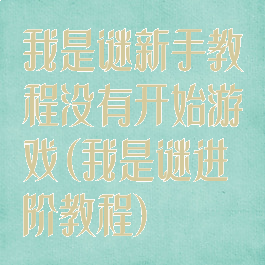 我是谜新手教程没有开始游戏(我是谜进阶教程)
