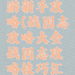 战国志手游新手攻略(战国志攻略大全战国志攻略技巧汇总)
