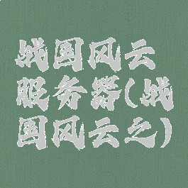 战国风云服务器(战国风云之)