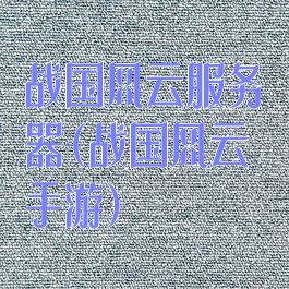 战国风云服务器(战国风云手游)