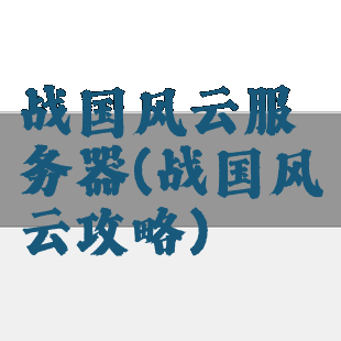 战国风云服务器(战国风云攻略)