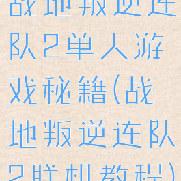 战地叛逆连队2单人游戏秘籍(战地叛逆连队2联机教程)