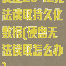 战地2042无法读取持久化数据(硬盘无法读取怎么办)