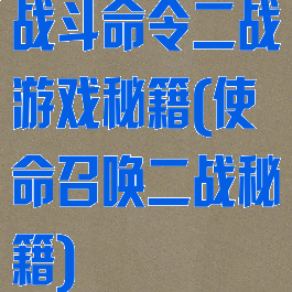 战斗命令二战游戏秘籍(使命召唤二战秘籍)