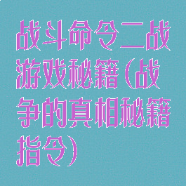 战斗命令二战游戏秘籍(战争的真相秘籍指令)