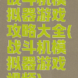 战斗机模拟器游戏攻略大全(战斗机模拟器游戏视频)