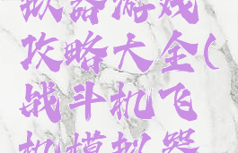 战斗机模拟器游戏攻略大全(战斗机飞机模拟器游戏大全)