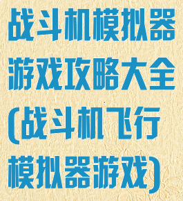 战斗机模拟器游戏攻略大全(战斗机飞行模拟器游戏)