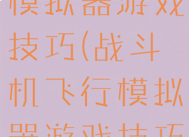 战斗机飞行模拟器游戏技巧(战斗机飞行模拟器游戏技巧视频)