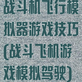 战斗机飞行模拟器游戏技巧(战斗飞机游戏模拟驾驶)