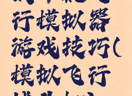 战斗机飞行模拟器游戏技巧(模拟飞行战斗机)