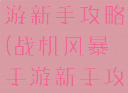 战机风暴手游新手攻略(战机风暴手游新手攻略图文)