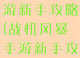 战机风暴手游新手攻略(战机风暴手游新手攻略大全)