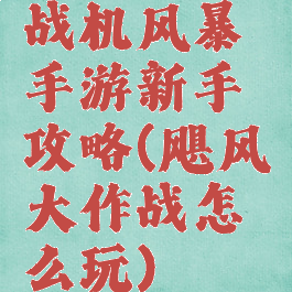 战机风暴手游新手攻略(飓风大作战怎么玩)