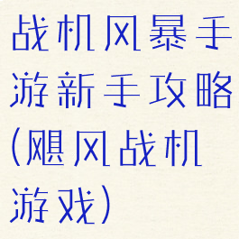 战机风暴手游新手攻略(飓风战机游戏)